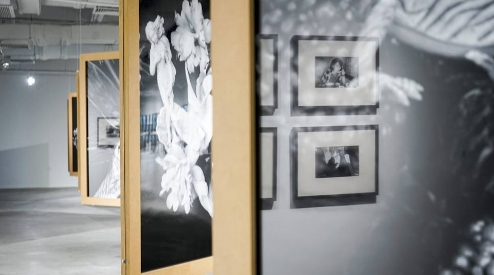 甄嬛传钮钴禄是什么梗