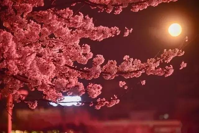 奥运男足直播视频海报