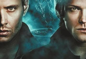 野生螃蟹的寿命有多长视频海报