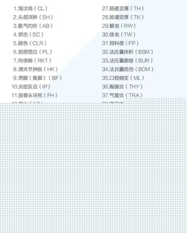 情人节有什么活动视频海报