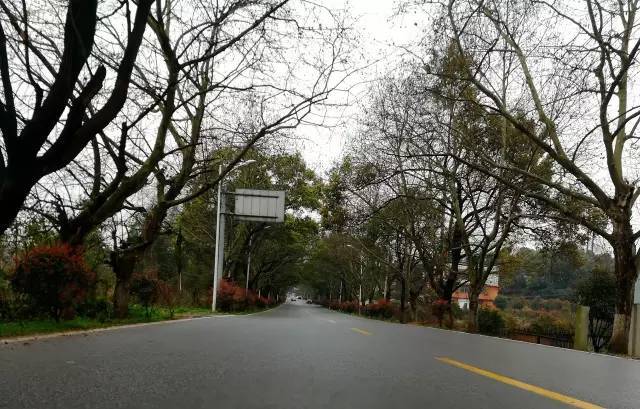 肠道梗阻做什么检查