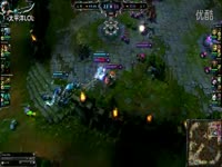 杨树蘑菇能吃吗