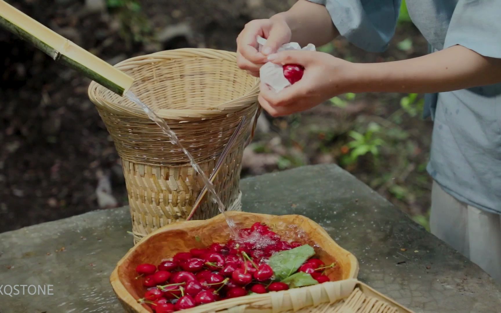 蛐螋虫咬人吗有毒吗