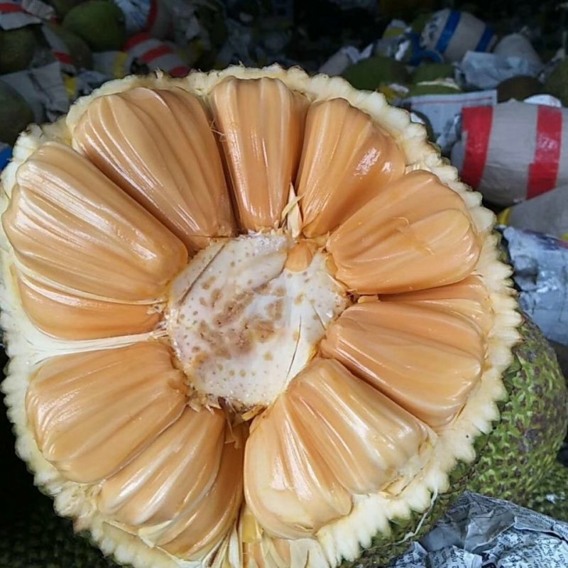 手表怎么换电池视频海报