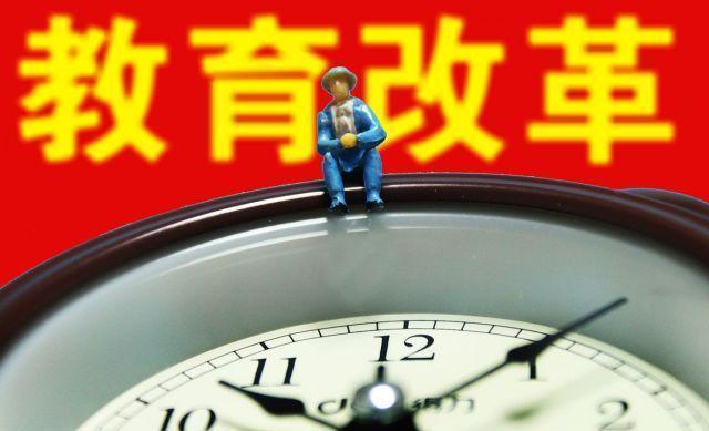 瓢虫的天敌视频海报