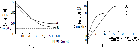 大会邀请函模板视频海报