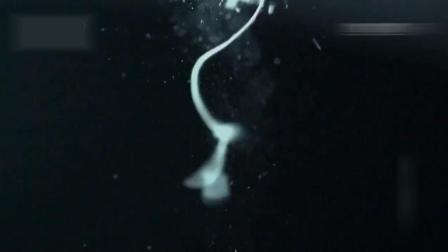 螃蟹离开水最多能活几天