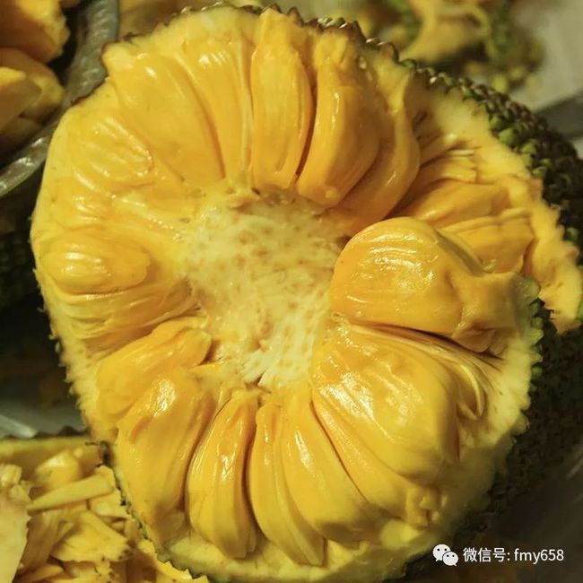 平昌冬奥会男子花样滑冰视频视频海报