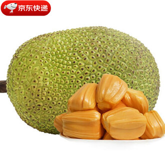 英语手抄报 一年级