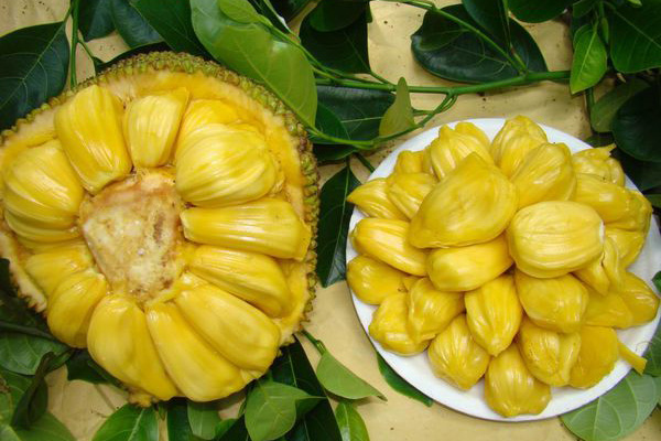 59负重轮是什么梗视频海报